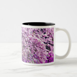 Caneca De Café Em Dois Tons EUA, Delaware, Wilmington. Banco de madeira sob