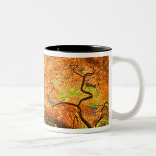 Caneca De Café Em Dois Tons EUA, Delaware, Wilmington. Bordo japonês