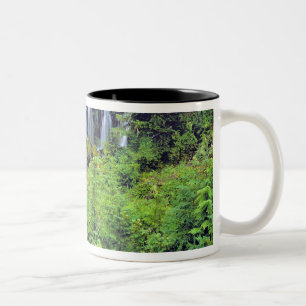 Caneca De Café Em Dois Tons EUA, Estado de Washington, Mt Adams Wilderness. Tw