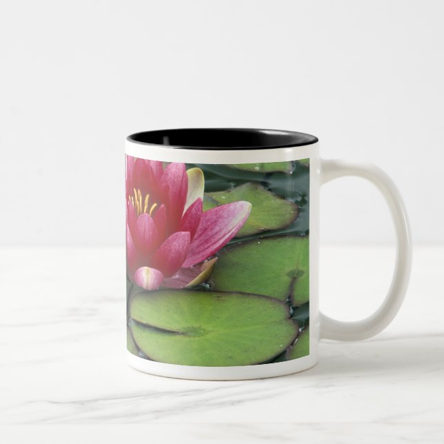 Caneca De Café Em Dois Tons EUA, Estado de Washington, Seattle. Lírio de água  (Direita)