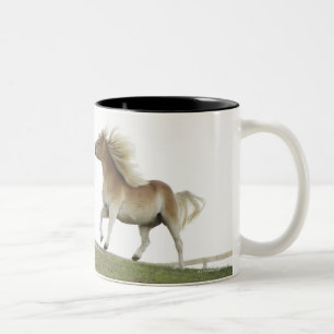 Caneca De Café Em Dois Tons EUA, Estados de Nova Iorque, Hudson, cavalo que