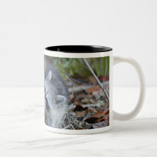 Caneca De Café Em Dois Tons EUA, Flórida, Sanibel, Ding Darling Nacional