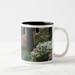 Caneca De Café Em Dois Tons EUA, Geórgia, Callaway Gardens. Caminho