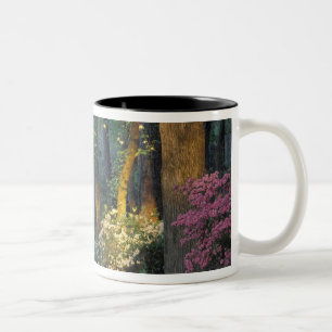 Caneca De Café Em Dois Tons EUA, Geórgia, Jardins Callaway, floresta Azalea.