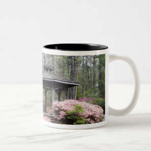 Caneca De Café Em Dois Tons EUA, Geórgia, Pine Mountain. Um gazebo entre