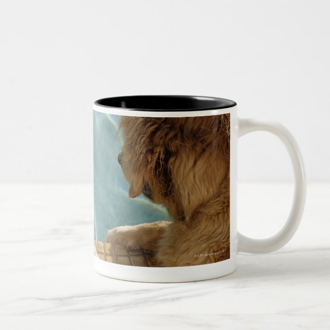 Caneca De Café Em Dois Tons EUA, Havaí, Honolulu. (Direita)