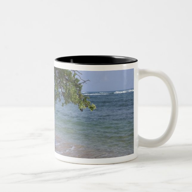 Caneca De Café Em Dois Tons EUA, Havaí, Kauai, cenário de praia. RF) (Direita)