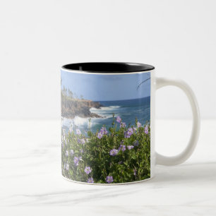 Caneca De Café Em Dois Tons EUA, Havaí, Kauai, perto de Kapaa, noroeste