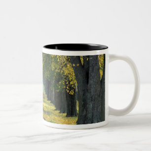 Caneca De Café Em Dois Tons EUA, Kentucky, Louisville. Estrada em linha reta