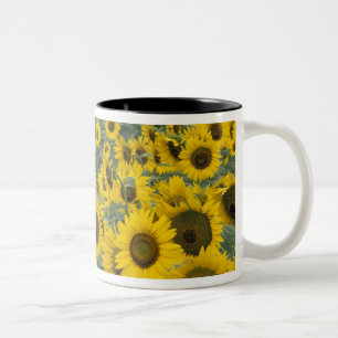 Caneca De Café Em Dois Tons EUA, Kentucky Padrão em campo cultivado