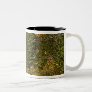 Caneca De Café Em Dois Tons EUA; Maine; Acadia NP. Reflexões de queda a 2