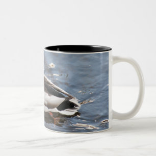 Caneca De Café Em Dois Tons EUA, Maine, Camden, pato do pato selvagem no lago
