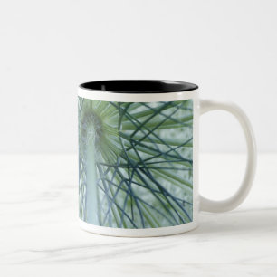 Caneca De Café Em Dois Tons EUA, Michigan. Erva-Mijona vista de