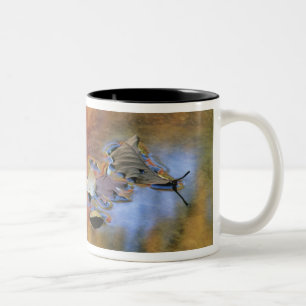 Caneca De Café Em Dois Tons EUA, Nova York, Adirondacks, Folhas Caídas em