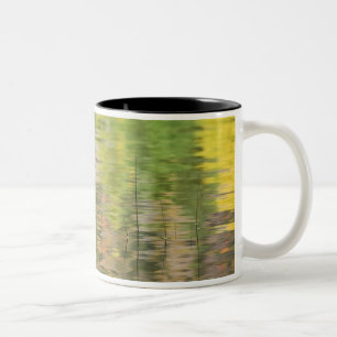 Caneca De Café Em Dois Tons EUA, Nova York, Adirondacks, Reflexos na água