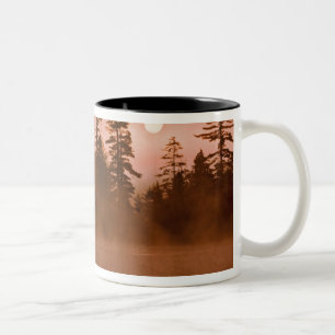 Caneca De Café Em Dois Tons EUA, Nova York, Parque Adirondack. Nascer do sol e