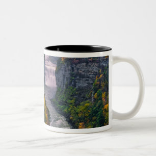 Caneca De Café Em Dois Tons EUA, Nova York, Parque Estadual Letchworth. Rio e