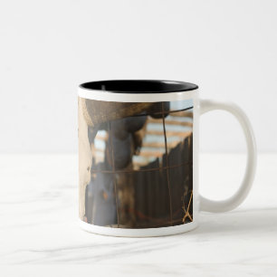Caneca De Café Em Dois Tons EUA, Novo México, Mesilla: Praça Histórica de Mesi