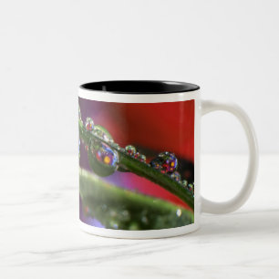 Caneca De Café Em Dois Tons EUA, Oregon, Close-up abstrato de roxo