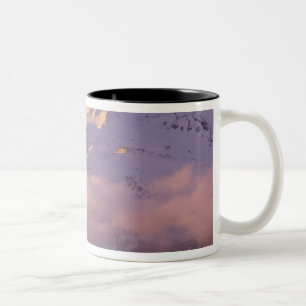 Caneca De Café Em Dois Tons EUA, Oregon, Floresta Nacional Deschutes, A