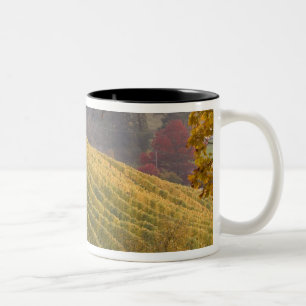 Caneca De Café Em Dois Tons EUA, Oregon, Newberg. Vinhedo no outono.