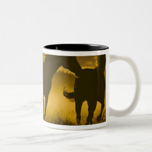 Caneca De Café Em Dois Tons EUA, Oregon, Seneca, Ponderosa Ranch.