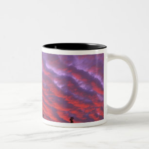 Caneca De Café Em Dois Tons EUA, Oregon, Three Sisters Wilderness, Vívido