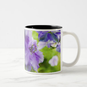Caneca De Café Em Dois Tons EUA, Oregon, Vale do Willamette, Larkspur Close 2
