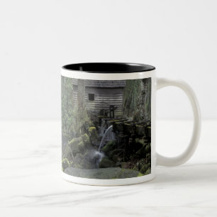 Caneca De Café Em Dois Tons EUA, Tennessee, Excelente Mountains National 3