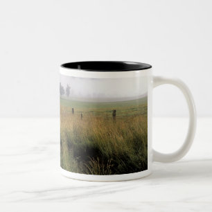 Caneca De Café Em Dois Tons EUA, Tennessee, Grandes Montanhas Smokey