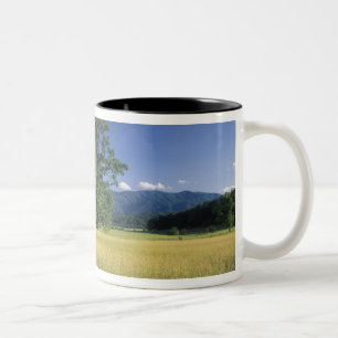 Caneca De Café Em Dois Tons EUA, Tennessee. Grandes Montanhas Smokey 3