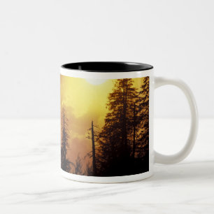 Caneca De Café Em Dois Tons EUA, Tennessee, Great Smoky Mountains NP. 2