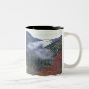 Caneca De Café Em Dois Tons EUA, Tennessee, Parque Nacional das Grandes Montan