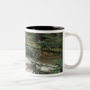 Caneca De Café Em Dois Tons EUA, Tennessee. Rio Nacional Big South Fork