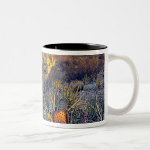 Caneca De Café Em Dois Tons EUA, Texas, Big Bend NP. Um crepúsculo arenoso ros