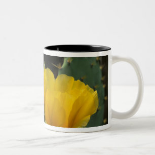 Caneca De Café Em Dois Tons EUA, Texas, Cacto de Pera Espinhosa em flor.