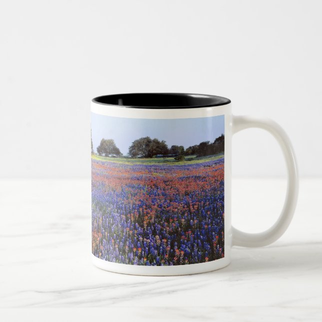 Caneca De Café Em Dois Tons EUA, Texas, Llano. Bluebonnets e redbonnets (Direita)