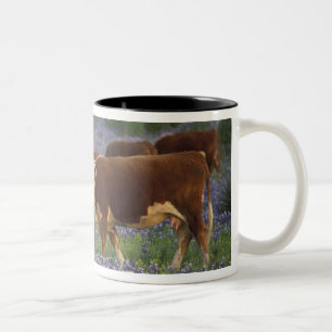 Caneca De Café Em Dois Tons EUA, Texas, Texas Hill Country, Hereford