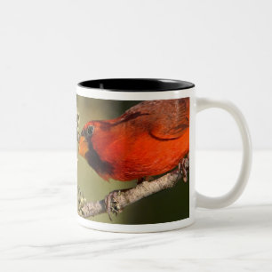 Caneca De Café Em Dois Tons EUA, Texas, Vale do Rio Grande, McAllen. Acasalado