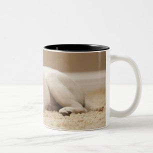 Caneca De Café Em Dois Tons EUA, Utá, Lehi, retrato de Labrador amarelo