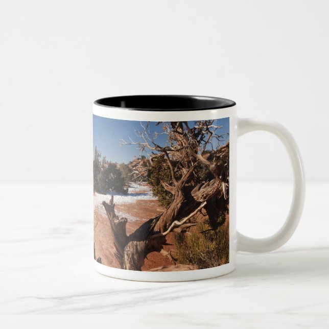 Caneca De Café Em Dois Tons EUA, Utah, Moab. Parque Nacional Canyonlands, (Direita)