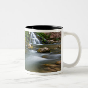 Caneca De Café Em Dois Tons EUA, Utah, Parque Nacional de Zion. O Virgin