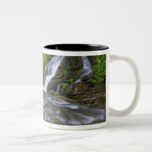 Caneca De Café Em Dois Tons EUA, Utah, Parque Nacional Zion. Grandes nascente