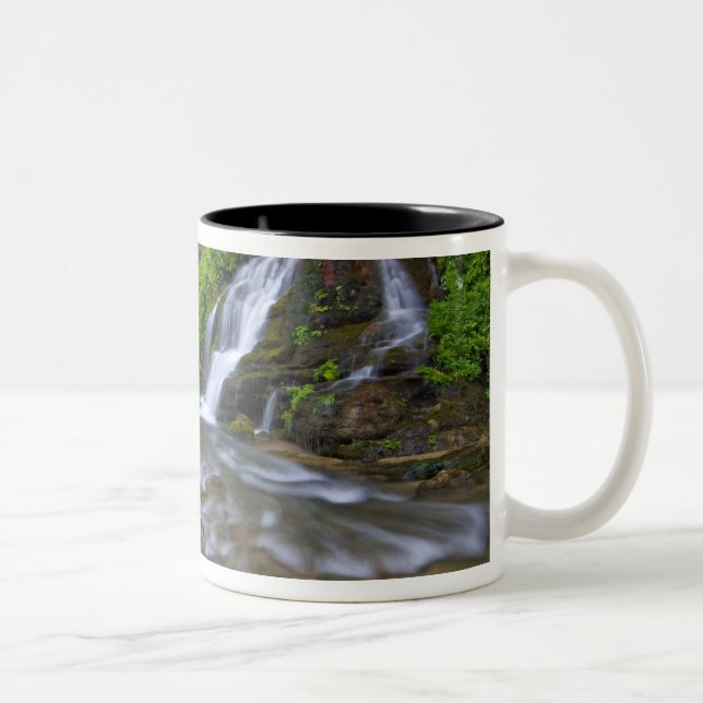 Caneca De Café Em Dois Tons EUA, Utah, Zion National Park.  Grandes Primaveras (Direita)