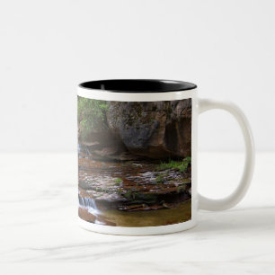 Caneca De Café Em Dois Tons EUA, Utah, Zion National Park. Scenico de 4