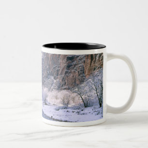 Caneca De Café Em Dois Tons EUA, Utah, Zion NP. Novos cobrir de neve no canyon