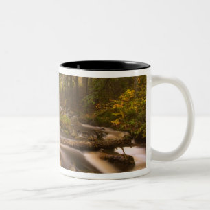 Caneca De Café Em Dois Tons EUA, Vermont, East Arlington, Fluxo de córregos 2