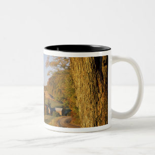 Caneca De Café Em Dois Tons EUA, Vermont, sul de Woodstock, Jenne Farm em