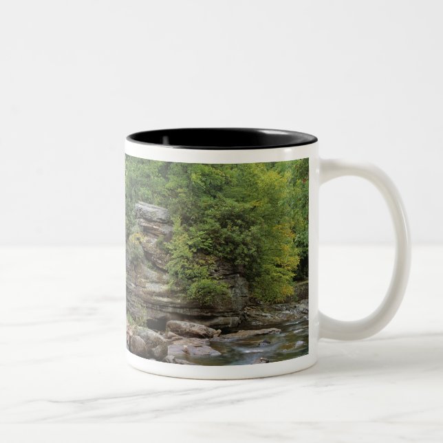 Caneca De Café Em Dois Tons EUA, Virgínia Ocidental, Babcock SP. Rustic Glade (Direita)