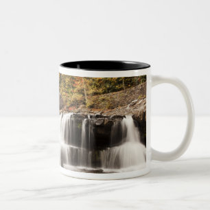 Caneca De Café Em Dois Tons EUA, Virgínia Ocidental, Clifftop. Babcock State